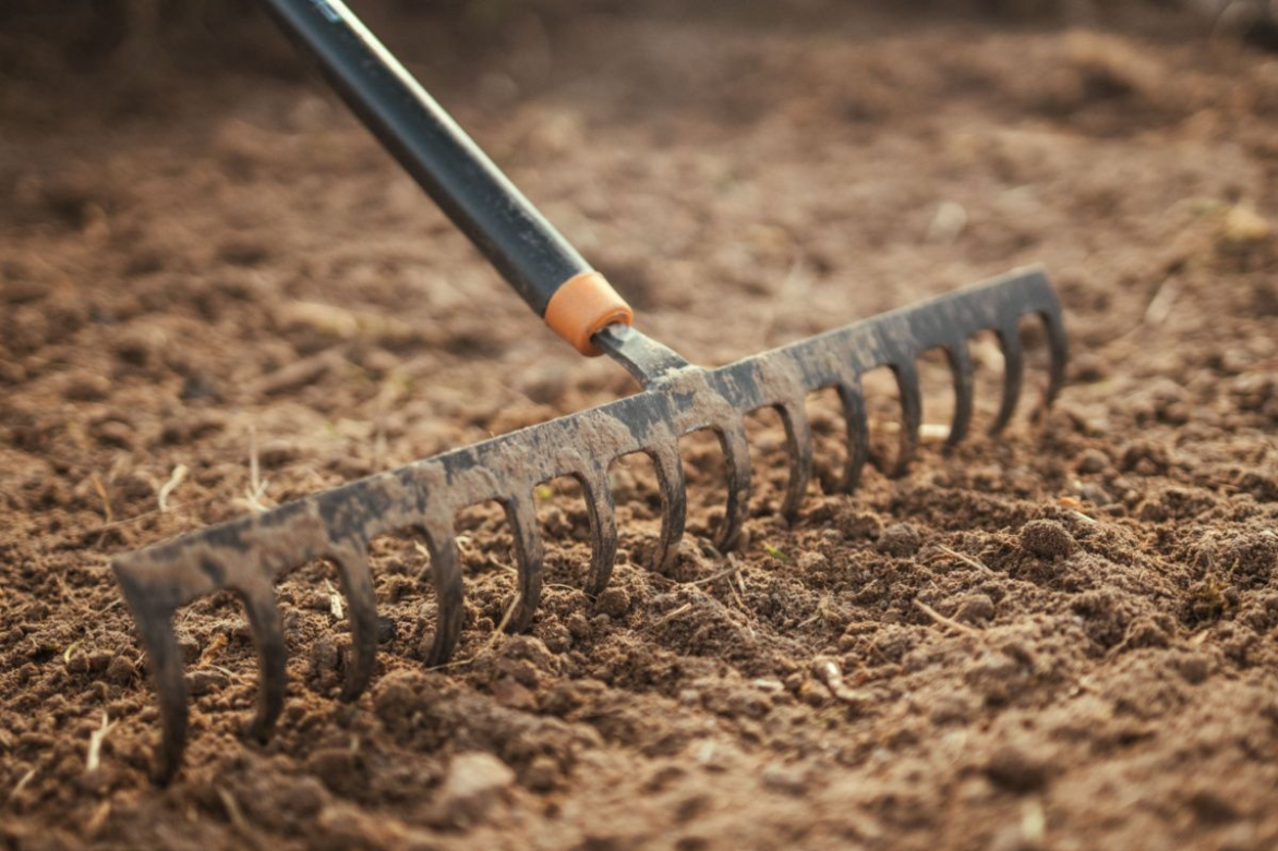 Cost-effective organic inputs